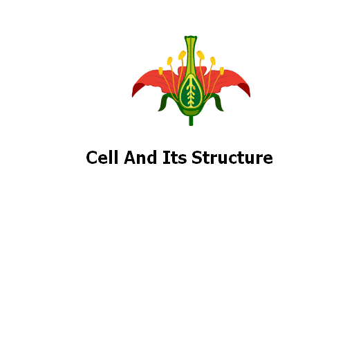 Cell And Its Structure